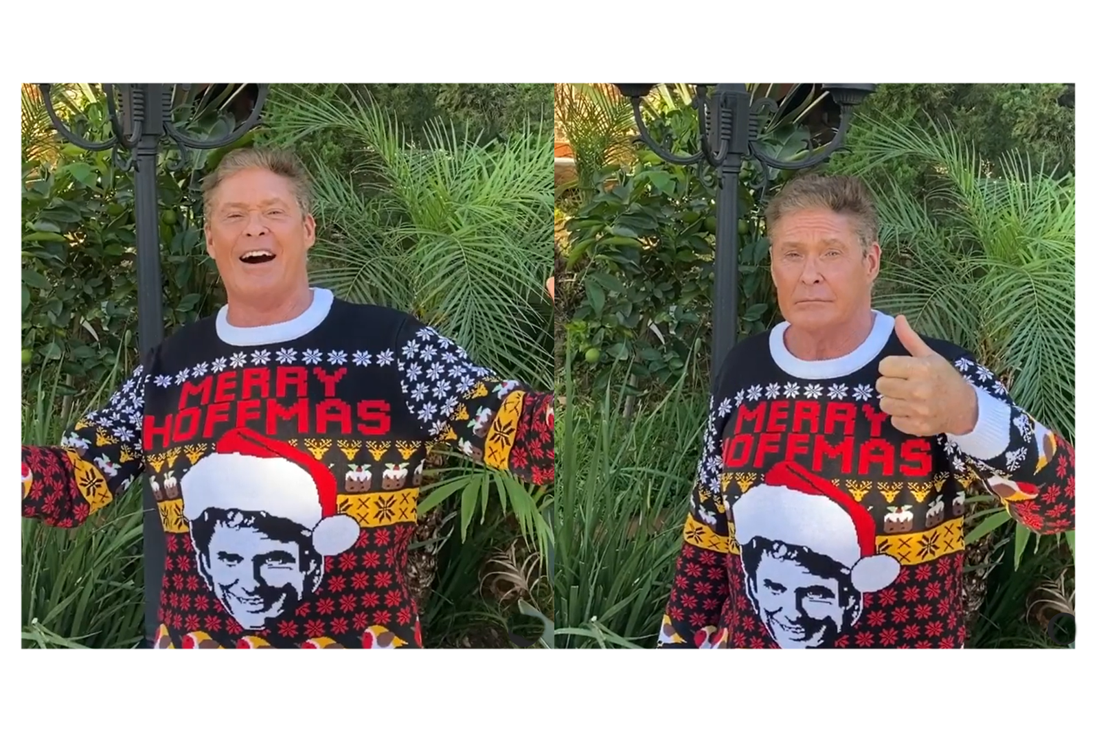 David Hasselhoff Christmassweater